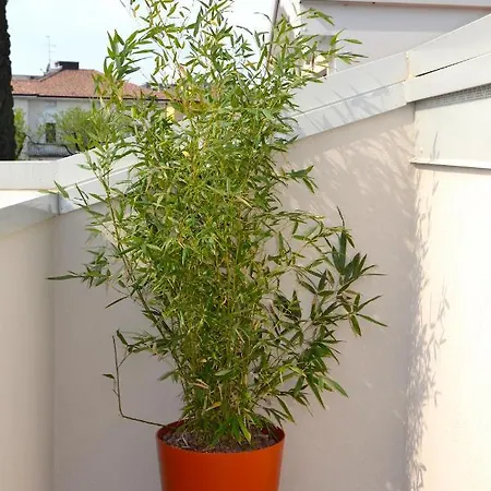 Zen Ar Holiday-home Appartamento